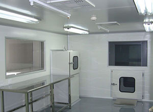 �λ�����˿���Ӧ������⣬������Ӧ������Щ����