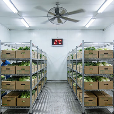 �λ����Ӧ�ý���