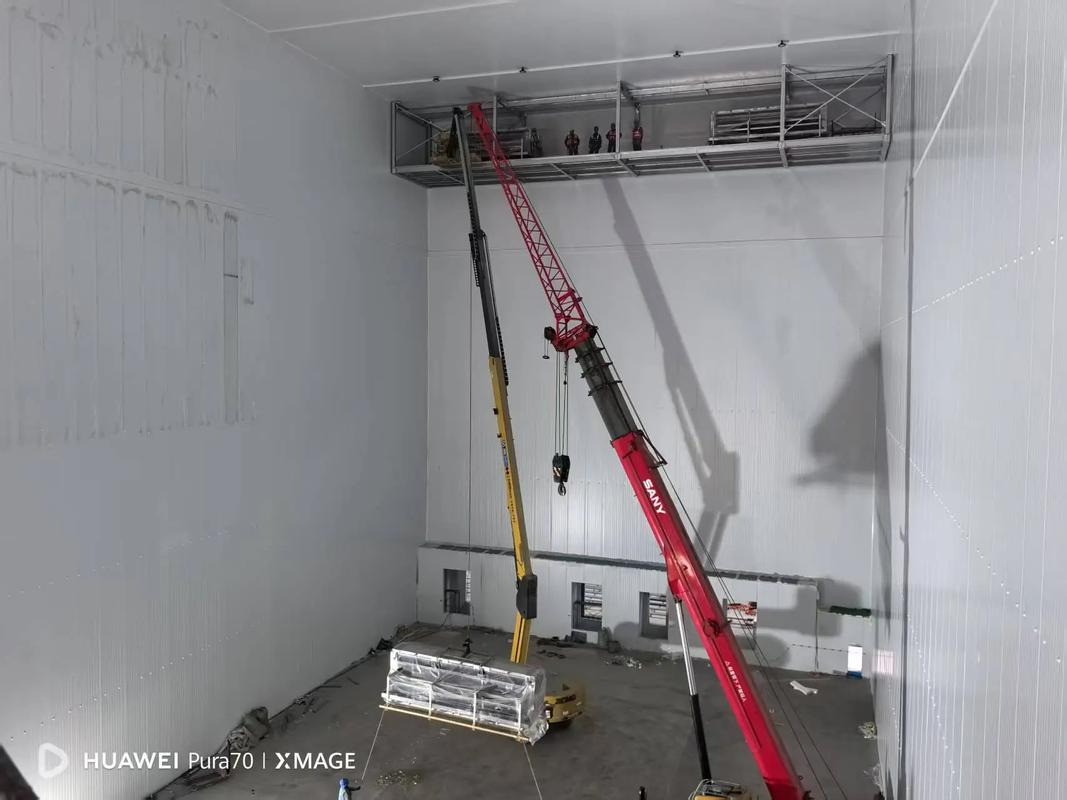 �λ������������ʲô����